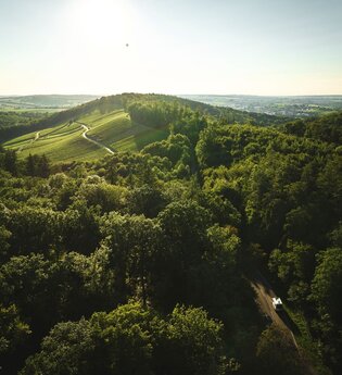 Grüne Hügellandschaft Stromberg Heuchelberg
