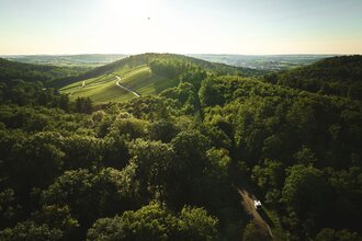 Grüne Hügellandschaft Stromberg Heuchelberg