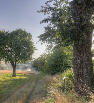 Hügellandschaft im Kraichgau | HeilbronnerLand | © Fachwerkstadt Eppingen