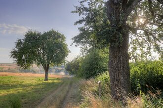 Hügellandschaft im Kraichgau | HeilbronnerLand | © Fachwerkstadt Eppingen