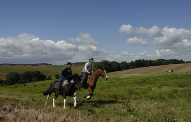 Felder im Kraichgau | HeilbronnerLand | © Touristikgemeinschaft HeilbronnerLand