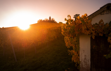 Heuchelberger Warte | Leingarten | HeilbronnerLand | © Touristikgemeinschaft HeilbronnerLand