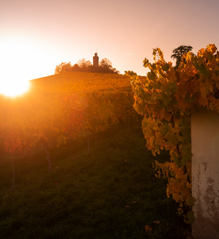 Heuchelberger Warte | Leingarten | HeilbronnerLand | © Touristikgemeinschaft HeilbronnerLand