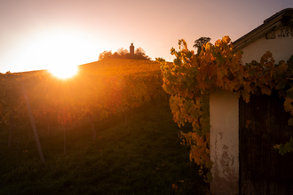 Heuchelberger Warte | Leingarten | HeilbronnerLand | © Touristikgemeinschaft HeilbronnerLand