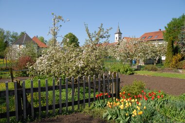 Siegelsbach Natur | HeilbronnerLand | © Gemeindeverwaltung Siegelsbach