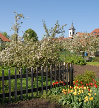 Siegelsbach Natur | HeilbronnerLand | © Gemeindeverwaltung Siegelsbach