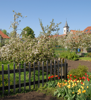 Siegelsbach Natur | HeilbronnerLand | © Gemeindeverwaltung Siegelsbach