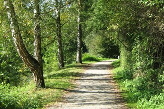 Beginn des Fußwegs im Fünfmühlental | Bad Rappenau | HeilbronnerLand | © Touristikgemeinschaft HeilbronnerLand