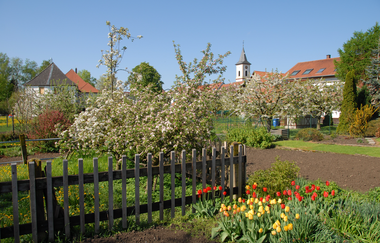 Siegelsbach Natur | HeilbronnerLand | © Gemeindeverwaltung Siegelsbach