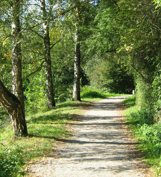 Beginn des Fußwegs im Fünfmühlental | Bad Rappenau | HeilbronnerLand | © Touristikgemeinschaft HeilbronnerLand