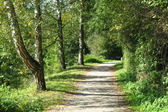 Beginn des Fußwegs im Fünfmühlental | Bad Rappenau | HeilbronnerLand | © Touristikgemeinschaft HeilbronnerLand