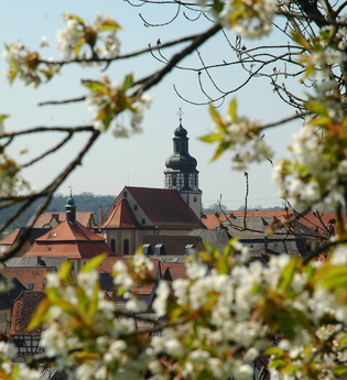 Kraichgau-Stromberg: Ähren-Tour | © Stadtmarketing Kraichtal