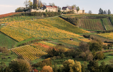 Kraichgau-Stromberg: Ähren-Tour