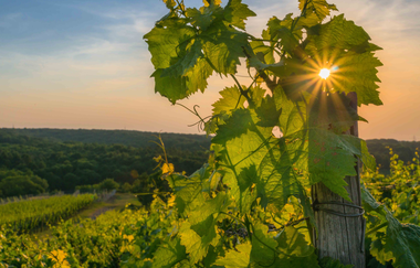 Kraichgau-Stromberg: Kultur-Tour | © Land der 1000 Hügel - Kraichgau-Stromberg