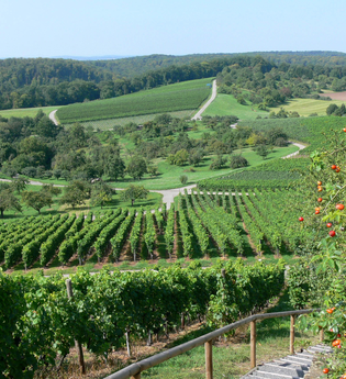 Kraichgau-Stromberg: Naturpark-Tour | © Land der 1000 Hügel - Kraichgau-Stromberg