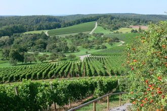 Kraichgau-Stromberg: Naturpark-Tour | © Land der 1000 Hügel - Kraichgau-Stromberg