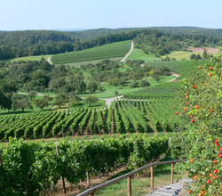 © Land der 1000 Hügel - Kraichgau-Stromberg