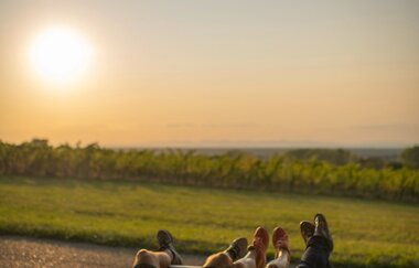 Kraichgau-Stromberg: Riesling-Tour | © Land der 1000 Hügel - Kraichgau-Stromberg