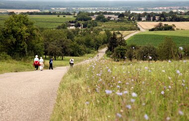 Kraichgau-Stromberg: Schlösser-Tour | © Bruchsaler Tourismus, Marketing & Veranstaltungs GmbH