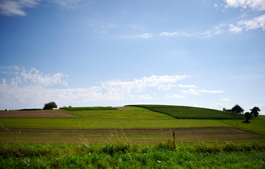Kraichgau-Stromberg: Waldenser-Tour | © Land der 1000 Hügel - Kraichgau-Stromberg