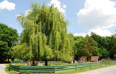 Kraichgau-Stromberg: Welterbe-Tour | © Land der 1000 Hügel - Kraichgau-Stromberg