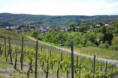 © Land der 1000 Hügel - Kraichgau-Stromberg