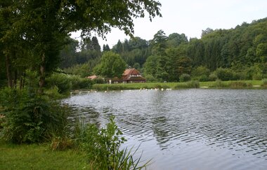 Der See ist von einer Wiese und Bäumen umgeben | © Touristikgemeinschaft Hohenlohe e. V. | Susanne Schleussner