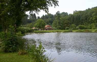 Der See ist von einer Wiese und Bäumen umgeben | © Touristikgemeinschaft Hohenlohe e. V. | Susanne Schleussner