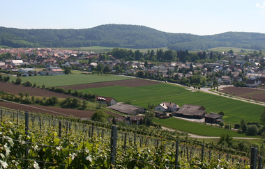 Lehrensteinsfelder Weintour | © Von Rosenzweig - Selbst fotografiert, CC BY-SA 3.0, https://commons.wikimedia.org/w/index.php?curid=2129875