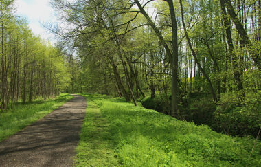 Leimbachroute - Vom Kraichgau zum Rhein | © Landratsamt Rhein-Neckar-Kreis