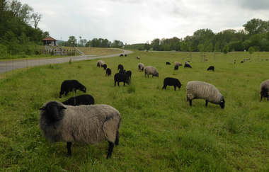 Leimbachroute - Vom Kraichgau zum Rhein | © Landratsamt Rhein-Neckar-Kreis