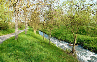 Leimbachroute - Vom Kraichgau zum Rhein | © Nachbarschaftsverband Heidelberg-Mannheim
