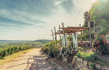Weinausschank im Zweifelberg | Weinsüden Weinort Brackenheim | HeilbronnerLand | © Touristikgemeinschaft HeilbronnerLand