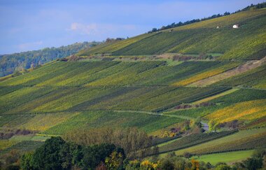 Liebliches Taubertal - Der Klassiker 2. Etappe | © Liebliches Taubertal