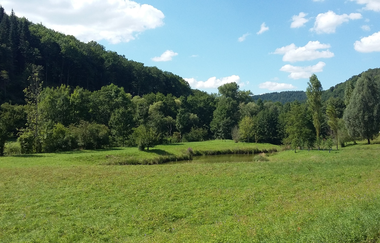 Liebliches Taubertal - Der Klassiker 3. Etappe | © Liebliches Taubertal