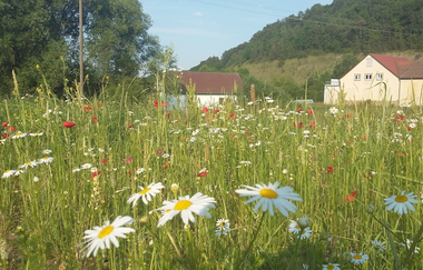 Liebliches Taubertal - Der Sportive 3. Etappe | © Liebliches Taubertal