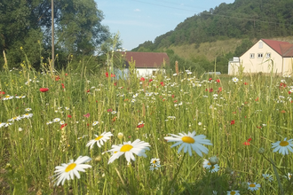 Lovely Tauber Valley - The Sportive 3rd stage | © Liebliches Taubertal