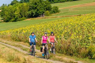 Liebliches Taubertal - The Sportive 4th Stage | © Liebliches Taubertal