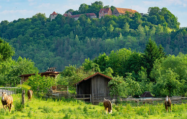 Liebliches Taubertal - Der Sportive | © Liebliches Taubertal