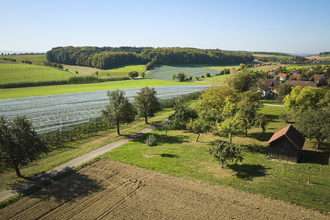 Obst- und Spalierobst rund um Zweiflingen | © Touristikgemeinschaft Hohenlohe e.V. | Andi Schmid