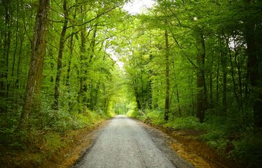 Lindachwald-Runde | Neudenau | HeilbronnerLand | © Stadtverwaltung Neudenau