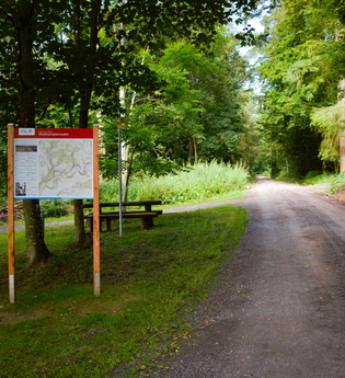 Lindachwald-Runde | Neudenau | HeilbronnerLand | © Stadtverwaltung Neudenau