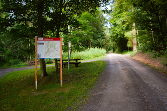 Lindachwald-Runde | Neudenau | HeilbronnerLand | © Stadtverwaltung Neudenau