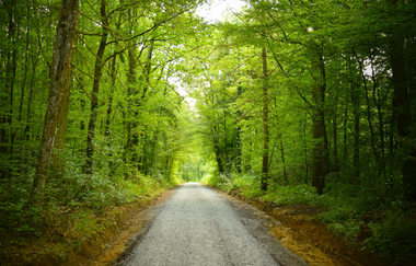 Lindachwald-Runde | Neudenau | HeilbronnerLand | © Stadtverwaltung Neudenau