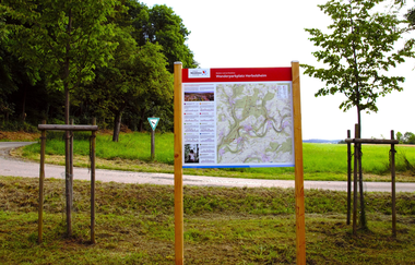 Lindachwald-Runde | Neudenau | HeilbronnerLand | © Stadtverwaltung Neudenau