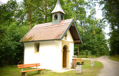 Lindachwald-Runde | Neudenau | HeilbronnerLand | © Stadtverwaltung Neudenau