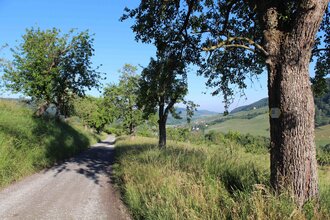 Weg mit grünen Seitenstreifen | © Stadt Pfedelbach