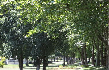 LT 15 Durch den Bürgerwald ins Wolfental | © Kurverwaltung
