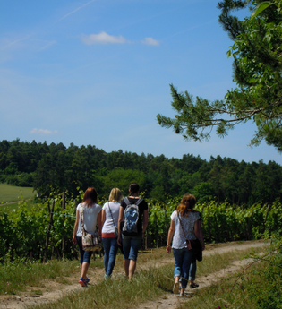 LT 16 Durchs Ursbachtal | © Liebliches Taubertal