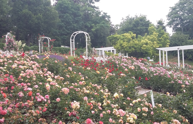 LT 17 Kur und Wein | © Tourismusverband "Liebliches Taubertal" e.V.